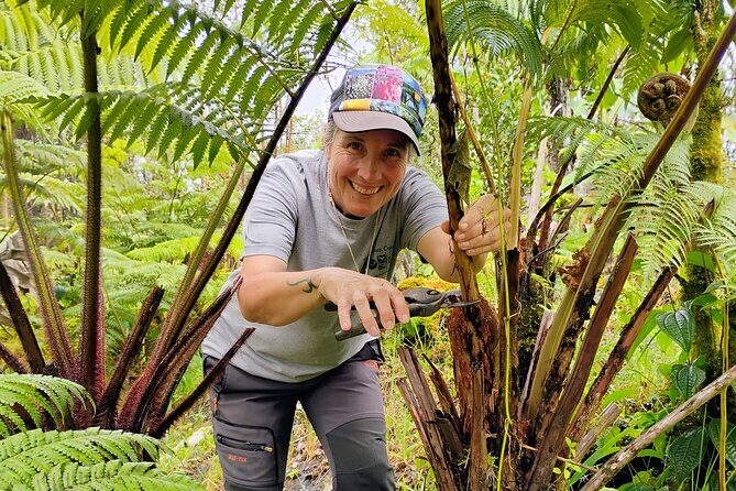 Cultivate Hapuu Ferns with Citrus Tea in the Hawaiian Rainforest - Who Will Love This Tour?