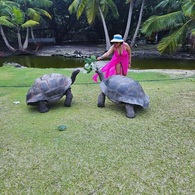"Curieuse and St-Pierre Island Adventure: with Creole, BBQ - Practical Aspects and Value