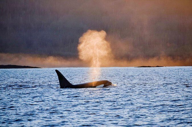 Customizable Private Wildlife Tour - What Makes This Private Wildlife Tour Special?