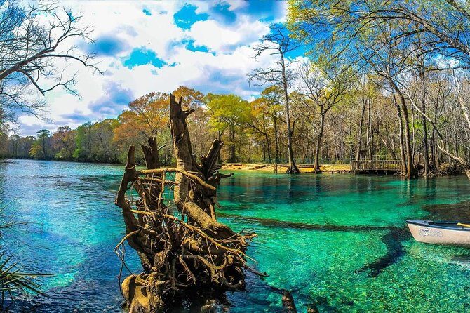 Cypress Springs Eco Adventure - Final Thoughts