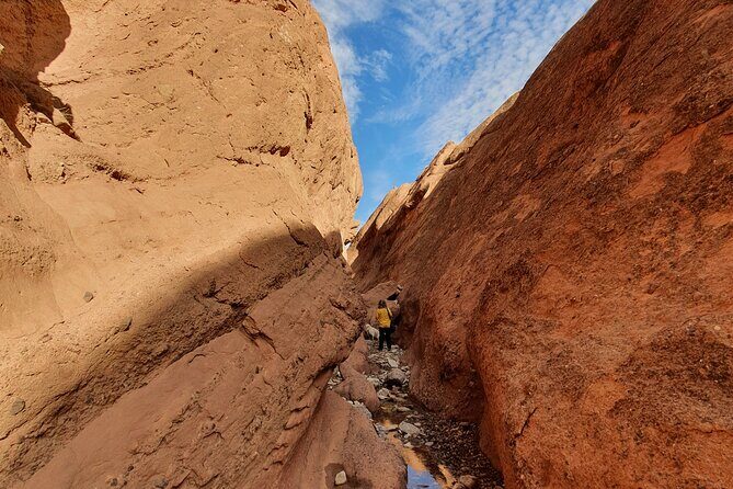 Dades Gorge-Monkey Finger's Canyon Hike in Boumalne Dades - The Sum Up: Who Will Love This Experience?