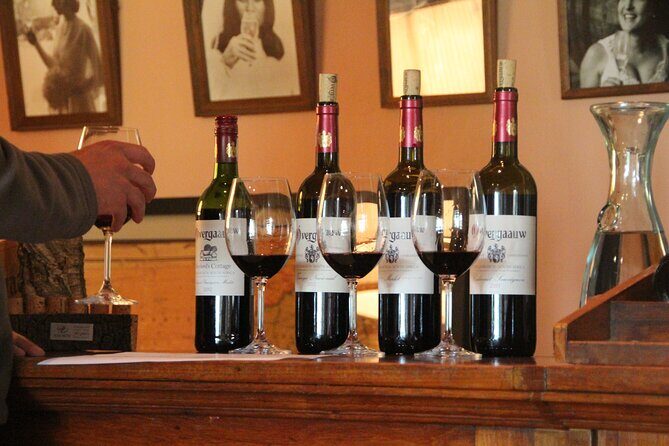 Daily Different small group WINE tour - CAPE TOWN PICKUP - Who Will Love This Tour?