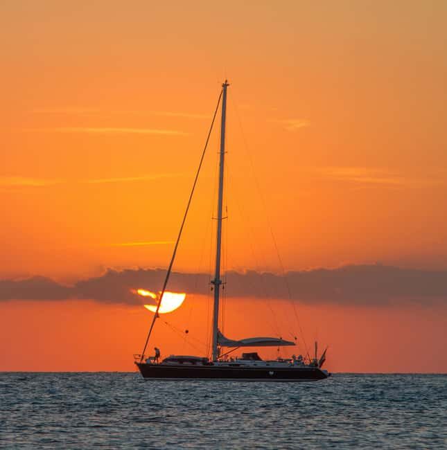 Dakhla Catamaran Tour - What the Reviews Say