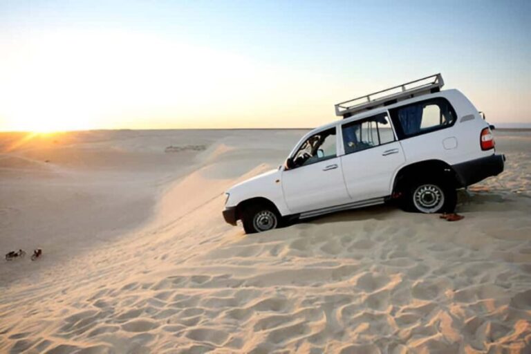 Dakhla: Imlili Desert 4x4 Tour with Oyster Tasting - What Makes This Tour Stand Out
