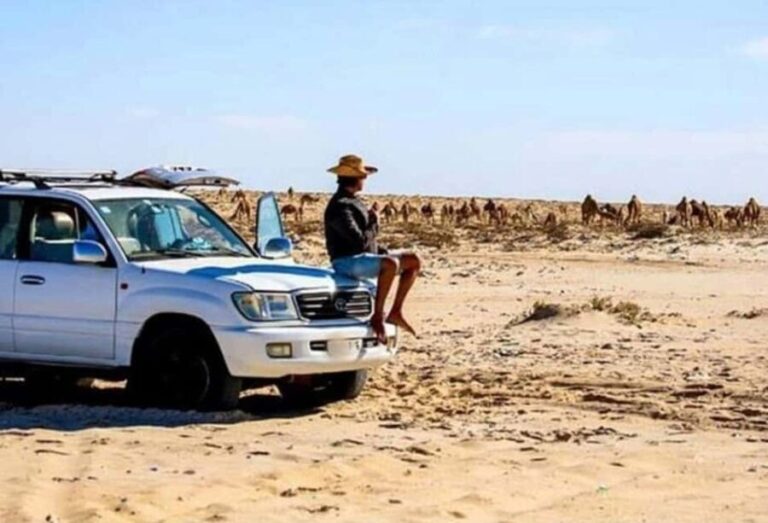 Dakhla: Private Tour to Imlili with Picnic & Tea - The Value of the Experience