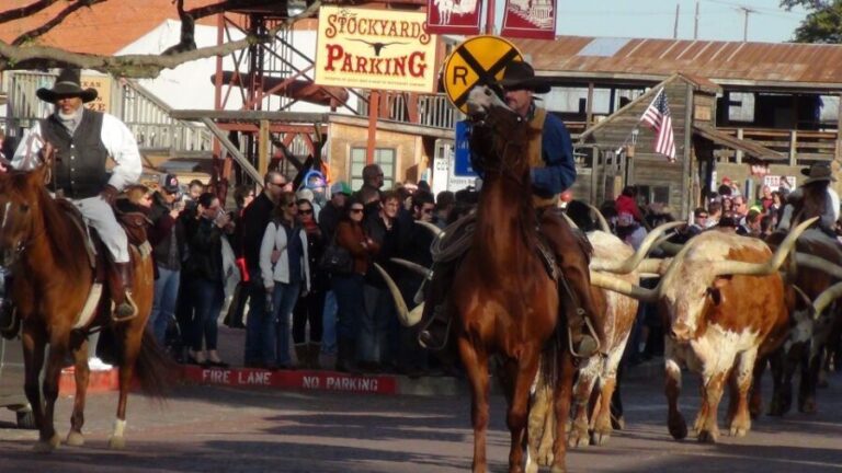 Dallas: City & Fort Worth Combination Tour - What to Expect: A Closer Look at the Day