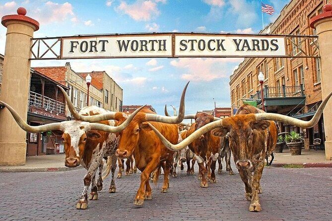 Dallas Highlights & Fort Worth Highlights Day Tour - Authentic Experience and Value