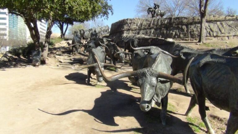 Dallas: Welcome to Dallas 3-Hour Small Group Tour by Van - Who Should Consider This Tour?