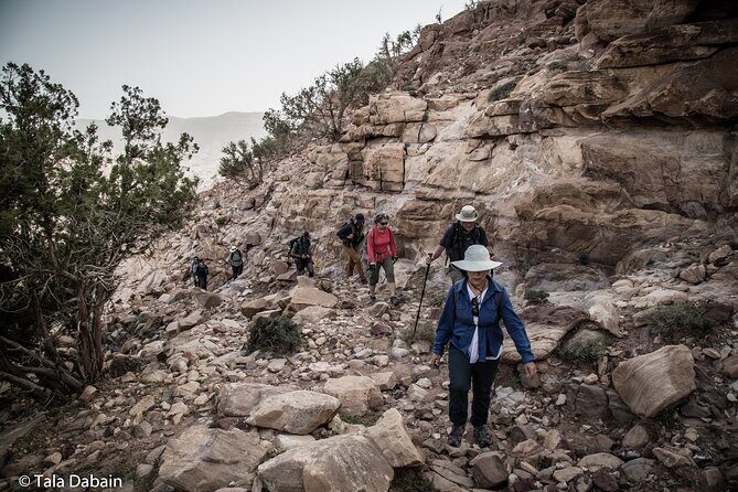 Dana to Petra Trek + Wadi Rum & the Dead Sea - 9 Days - Logistics and Value