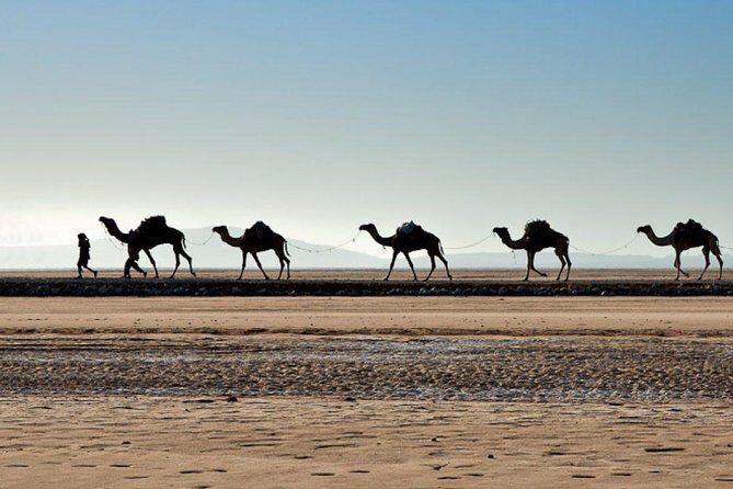 Danakil Depression and Lalibela 5 Days Tours - The Practical Side