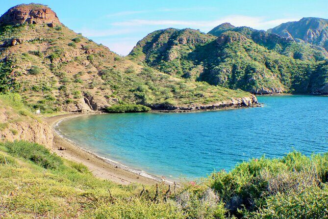 Danzante Island and Snorkel Tour from Villas del Palmar Hotel - Who Is This Tour Best For?