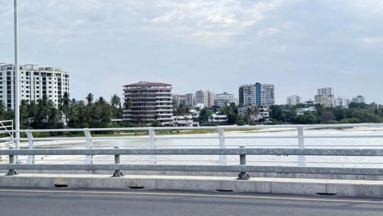 Dar es Salaam: Tuk-Tuk Tour, Street Food & Local Lifestyle - Who Would Love This Tour?