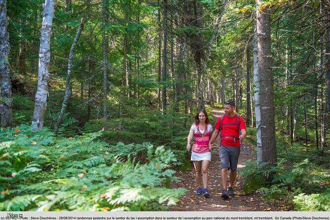 Day at Mont-Tremblant National Park - Weather and Park Access: A Consideration