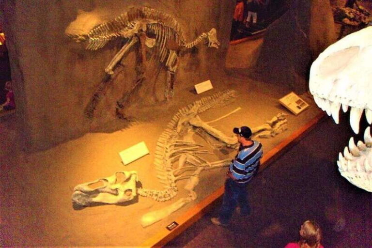 Day of Dinosaurs and Hoodoos From Calgary to the Badlands - Transportation, Group Size, and Value