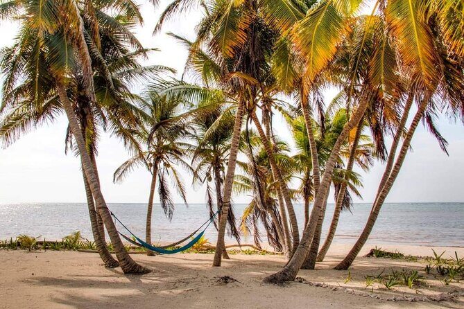 Day Pass to Private Clothing Optional Beach Resort in Xcalak - An In-Depth Look at the Experience