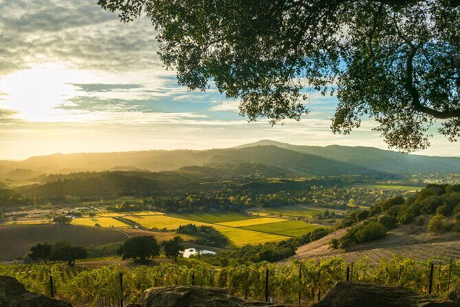 Day Private Russian River Valley Wine Tour from San Francisco - What’s Included and What’s Not