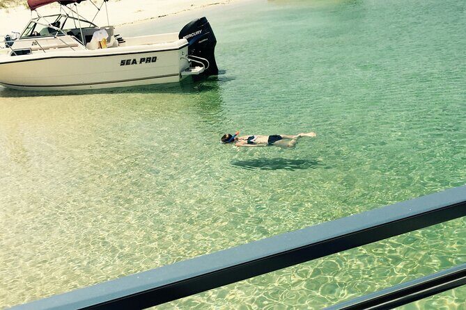 Day Snorkeling Tour in Orange Beach - Practical Details and Considerations