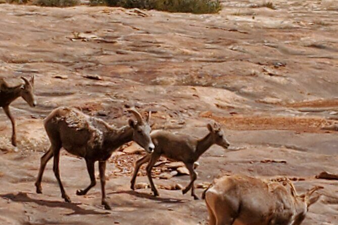 Day Tour Arches and Canyonlands National Park in Utah - The Experience in Practice: What Sets This Tour Apart?