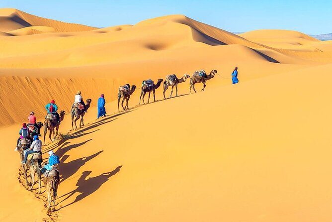 Day Tour To Cairo and Giza Pyramids from Alexandria Port - A Well-Rounded Introduction to Egypt’s Most Famous Sites