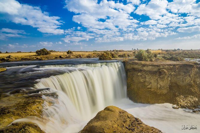 Day Tour to El Fayoum Oasis and Wadi al Rayan - What Makes This Tour Stand Out?