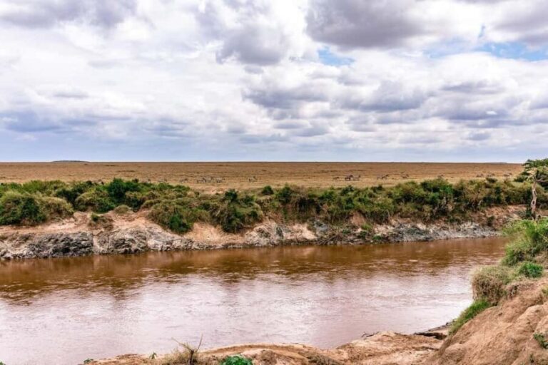 Day Tour to Maasai Mara Game Reserve from Nairobi - The Practical Details: What’s Included & What’s Not