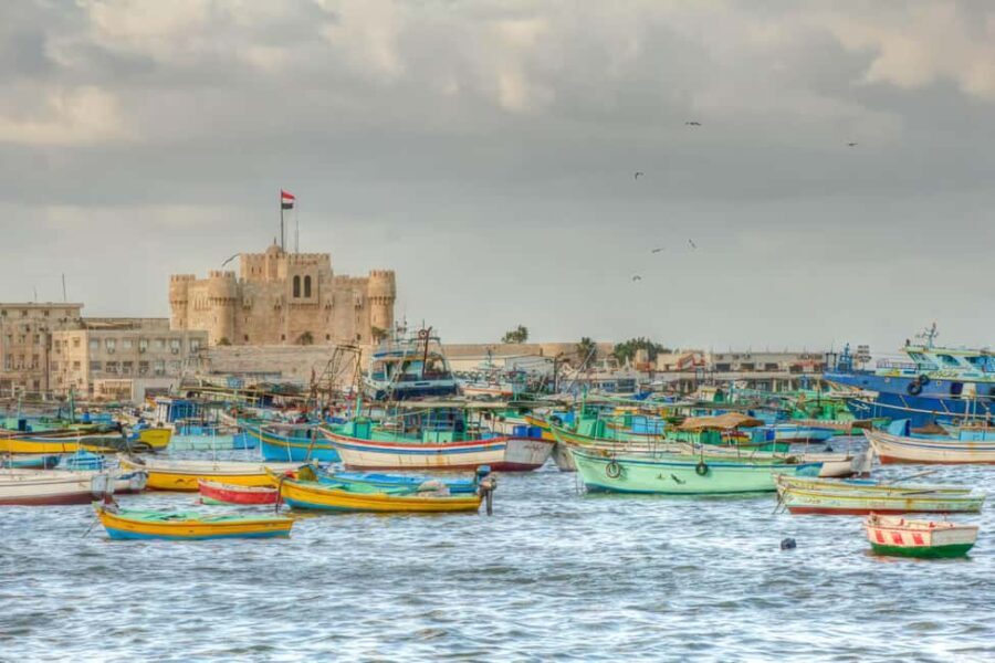 Day tour Visit the top attractions of Alexandria City - Who Should Consider This Tour?