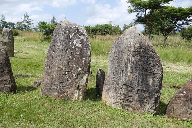Day Tours to Tiya Stele and Cave Churches of Adadi Maryam - Why This Tour is a Great Deal