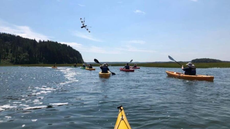 Day Trip from Boston: Guided Kayak at the Crane Estate