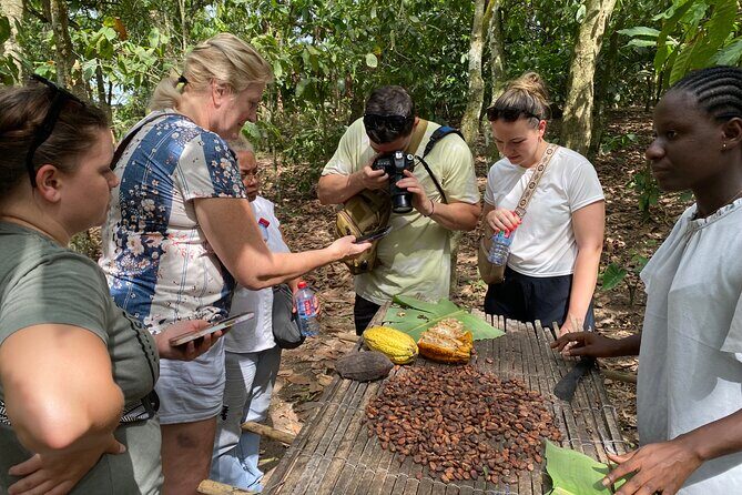 Day Trip Near Accra - Visit Aburi Gardens, Waterfall & Cocoa Farm - Conclusions: Why This Tour Is a Great Choice for Many
