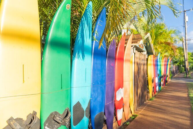 Day Trip Oahu to Maui: Sips, Sites and Bites - What You Can Expect from the Experience