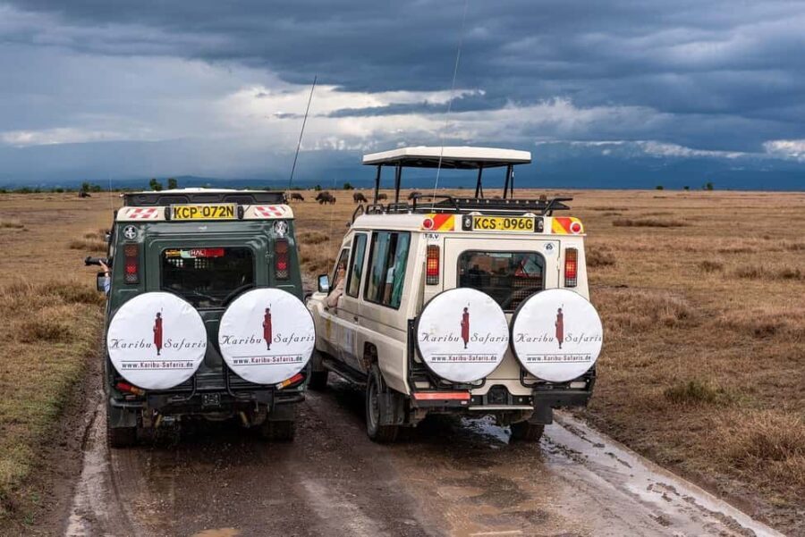 Day Trip to Amboseli National Park from Nairobi - Wildlife Encounters: What You’ll See and Feel