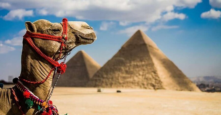 Day Trip to Pyramids & Museum from Ain Sokhna Port - How the Experience Feels for Travelers