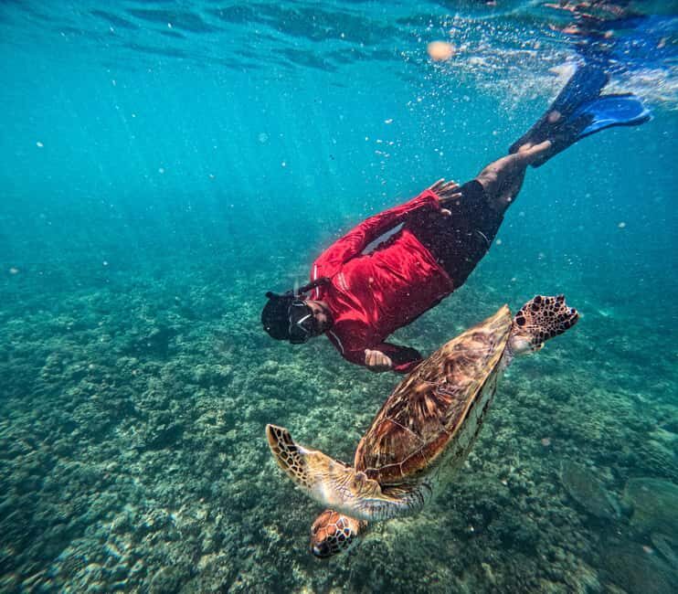Daymaniat Journey: Group Tour with Snorkeling - Key Points
