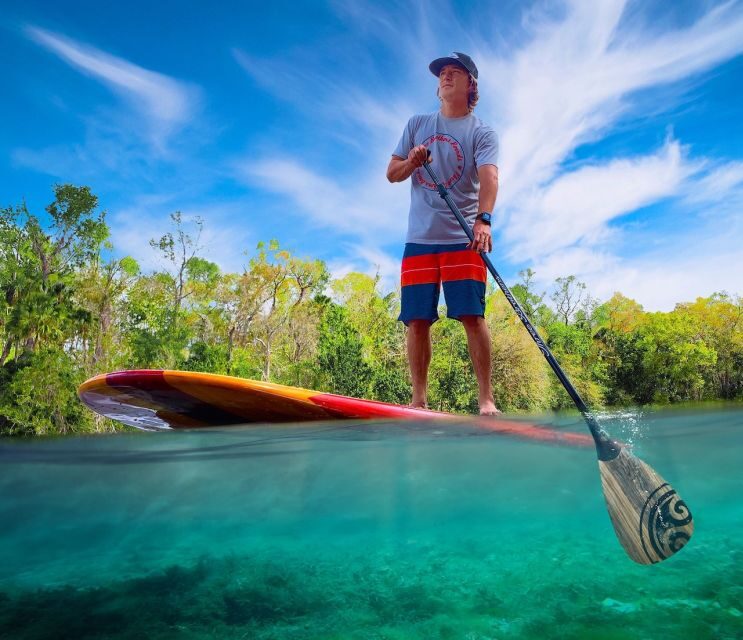 Daytona Beach: Guided Kayaking or Standup Paddling Tour