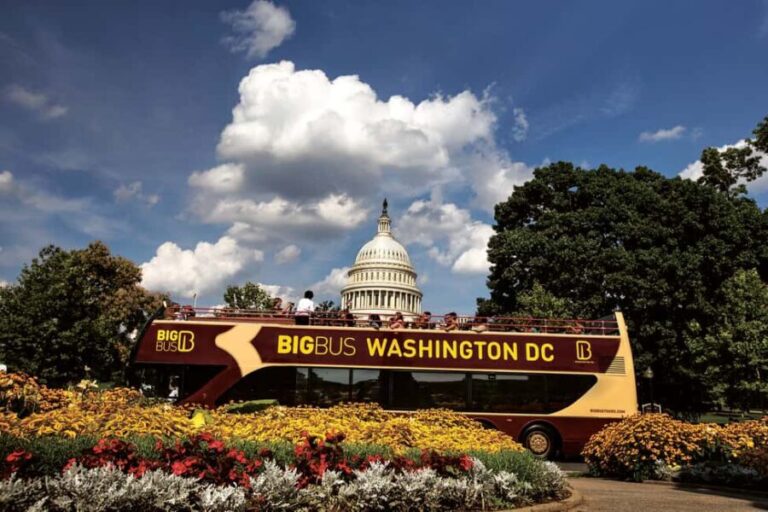 DC: Hop-on Hop-off, Arlington Walking Tour, and Night Tour - Who Is This Tour For?