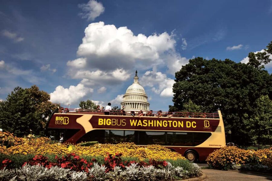DC: Hop-on Hop-off, Arlington Walking Tour, and Night Tour - Who Is This Tour For?