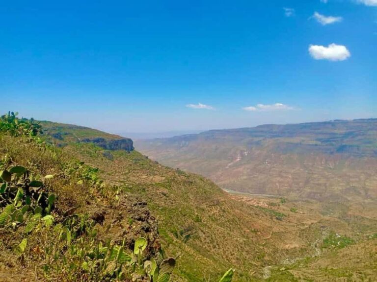 DebreLibanos & Portuguese Bridge day trip from Addis Ababa - The Value of This Tour