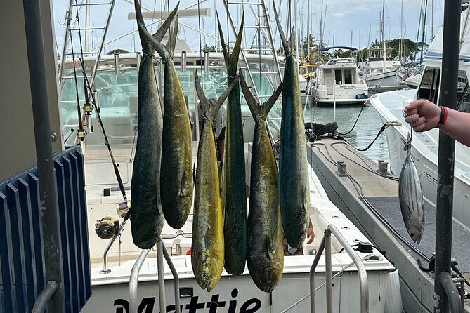 Deep Sea Fishing Charter in Waikiki, Hawaii - Final Thoughts