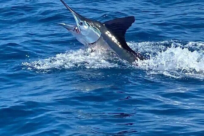 Deep Sea Fishing Tour in Huatulco Bays - Who’s This Tour For?