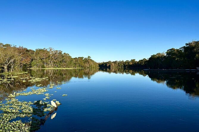 DeLeon Springs River Boat Tour - The Value of the Experience