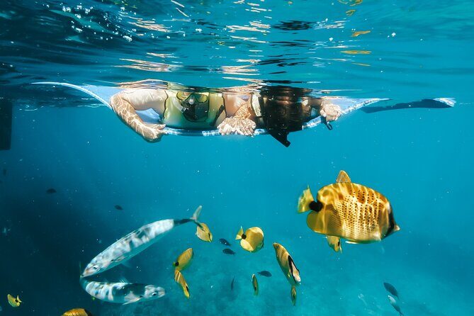 Deluxe Catamaran Swim with Dolphins in Oahu with Waterslide - The Wildlife & Scenic Highlights