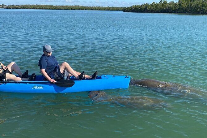 Deluxe Pedal Kayak Tour Marco Island and Naples, Florida - Why This Tour Delivers Good Value