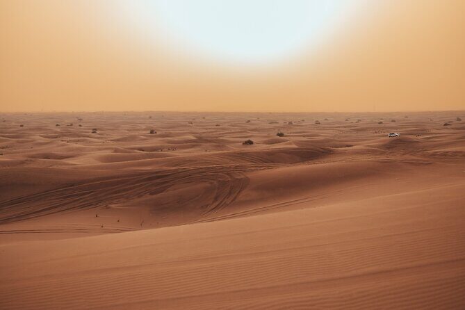 Deluxe Sunset Desert Safari: SandSurfing, Camel Ride & BBQ dinner - What’s Included and What’s Not