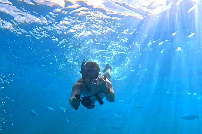 Deluxe Turtle Snorkeling Escapade at Waikiki - What to Keep in Mind