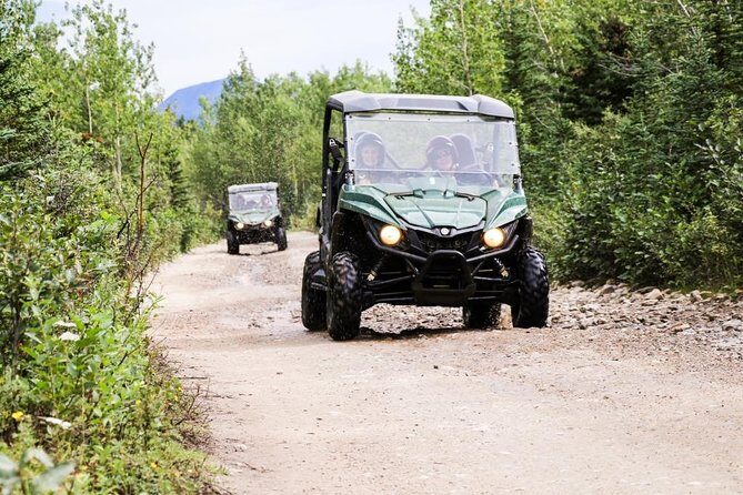 Denali ATV Trailblazer 3.5 Hour Tour - Analyzing the Value and Experience