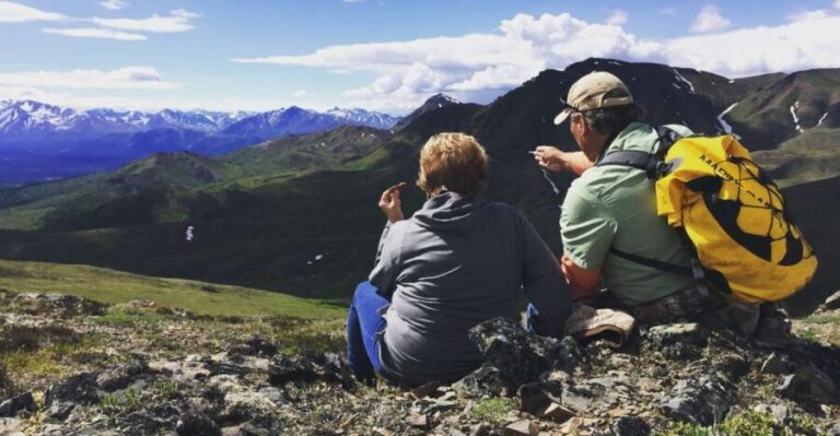 Denali: Denali National Park Walking Tour - The Value: Is This Tour Worth It?