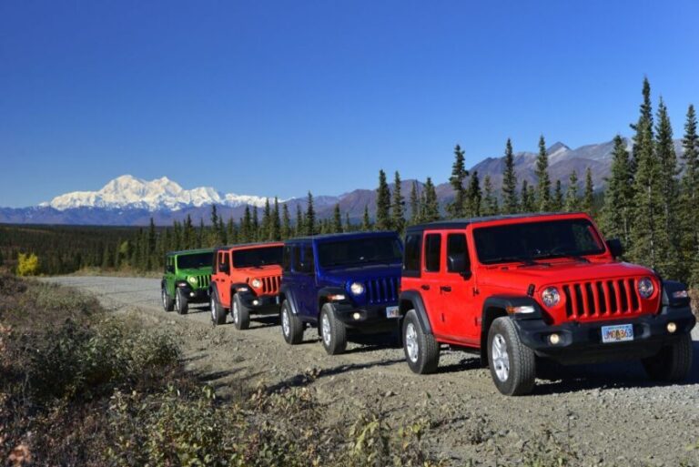 Denali Highway Jeep Excursion - Who Would Love This Experience?