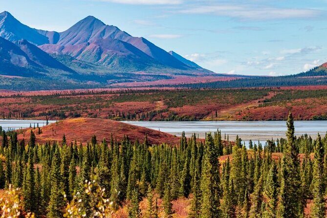 Denali Highway Overnight Excursion - Detailed Breakdown of the Experience