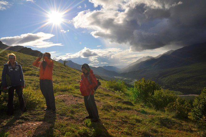 Denali Hiking Tour - Authentic Feedback from Past Participants