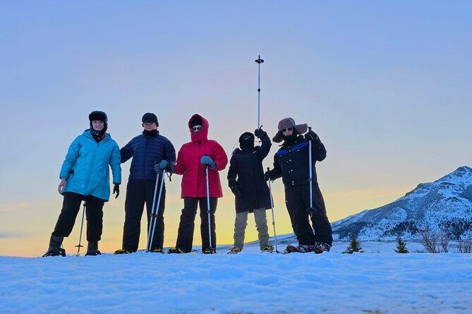 Denali National Park plus Aurora Chase Tour - The Cost and Value